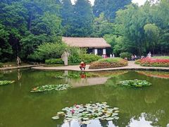 -庐山风景区花径公园