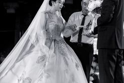 -洋洋婚纱品牌集合店