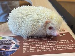 -珠海海泉湾神秘岛亲子乐园