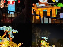 -武汉园博园(武汉自然博物馆)