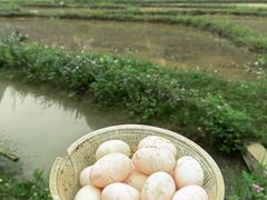 -明仕田园