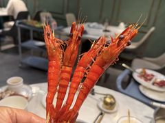 -喜聚薈·花膠雞海鮮火鍋(越秀店)