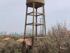 -苏州上方山国家森林公园