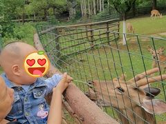 -秀丽东方