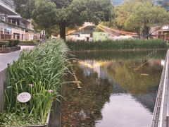 -CAMP.33露营烤肉·团建聚餐(创智天地店)