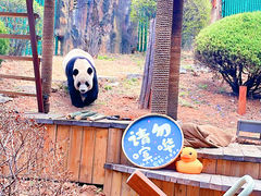 -大连森林动物园