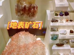 -天津自然博物馆