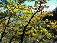 -吉林拉法山