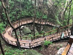 -大岭沟猕猴桃谷风景区