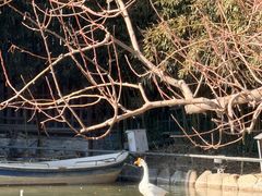 -春晖园度假酒店温泉