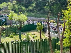 -沈阳森林动物园