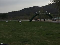 -大连铭湖国际观光牧场