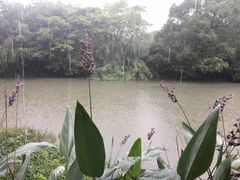 -和茶馆(西溪栖悦城店)