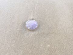 -海南清水湾莱佛士酒店