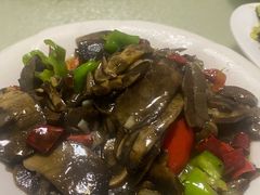-煲来饱去冷水鱼