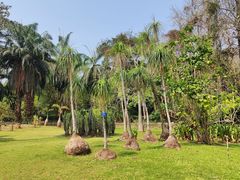 -中国科学院西双版纳热带植物园