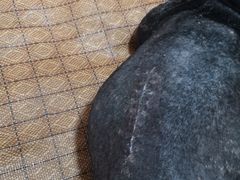 -爱侣宠医·鹦鹉专科·小型哺乳类·异宠专科(灵石路店)