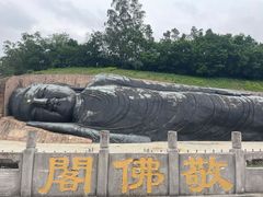 -三水森林公园