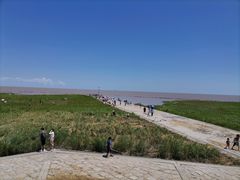 -南汇嘴观海公园