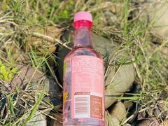 苏打水-官老大干副食