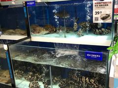 水产区-盒马鲜生(和谐广场店)