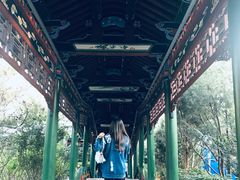 -迎泽公园