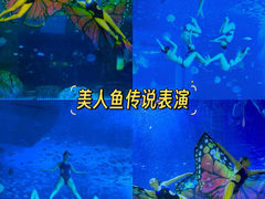 -正佳极地海洋世界