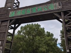 -溱湖国家湿地公园