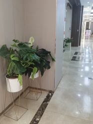 -杭州米兰柏羽医疗美容医院