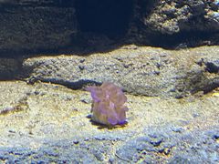 -沈阳海洋探索中心