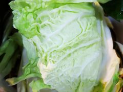 大白菜-安缘斋涮肉