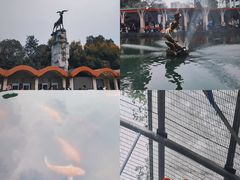 -成都动物园