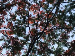 -白沙门生态公园