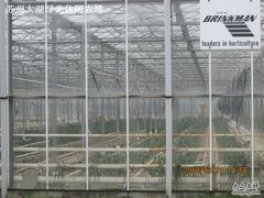 绿光农场照片 024-苏州太湖西山岛开心农场