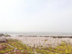 -古柏渡飞黄旅游区