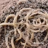 与食物的故事——面条