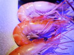 -钳真多钓虾馆·小龙虾海鲜烧烤(九六广场店)