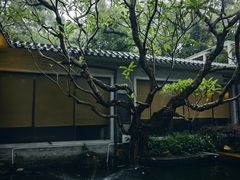 -广州兰圃