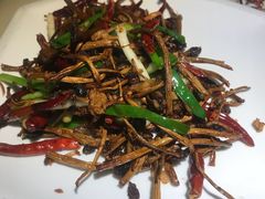 -绿茶餐厅(西单老佛爷店)