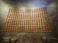 -陕西自然博物馆