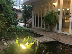 -Fern Forest Cafe