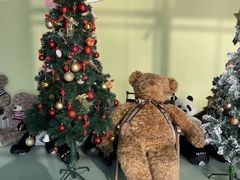 -成都泰迪熊博物馆