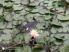 -艾溪湖湿地公园