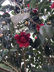 -P.STYLE派斯造型