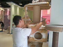 -藏猫猫咖啡主题馆(中央大道店)