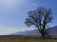 -敕勒川草原文化旅游区