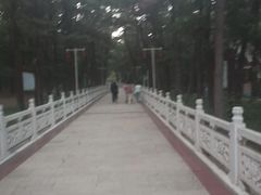 -林海公园