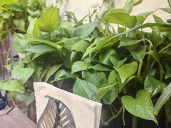 -多杰拉姆藏餐吧(田子坊店)