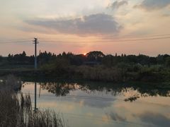 -贡湖湾湿地公园