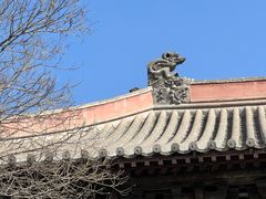 -善化寺